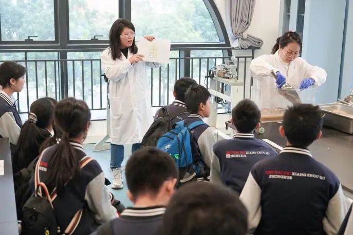 image-20250311113205-9