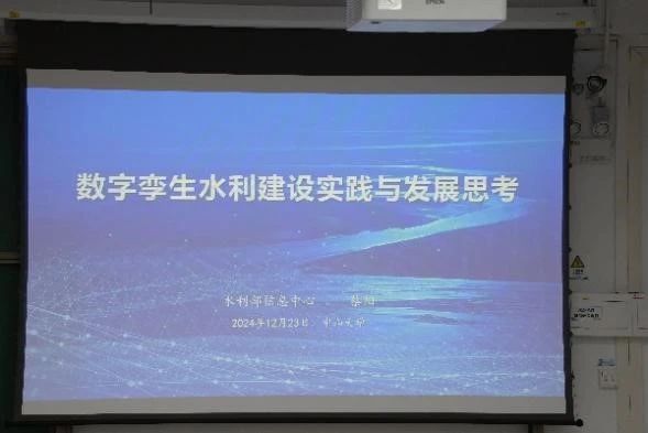 image-20250311113850-1