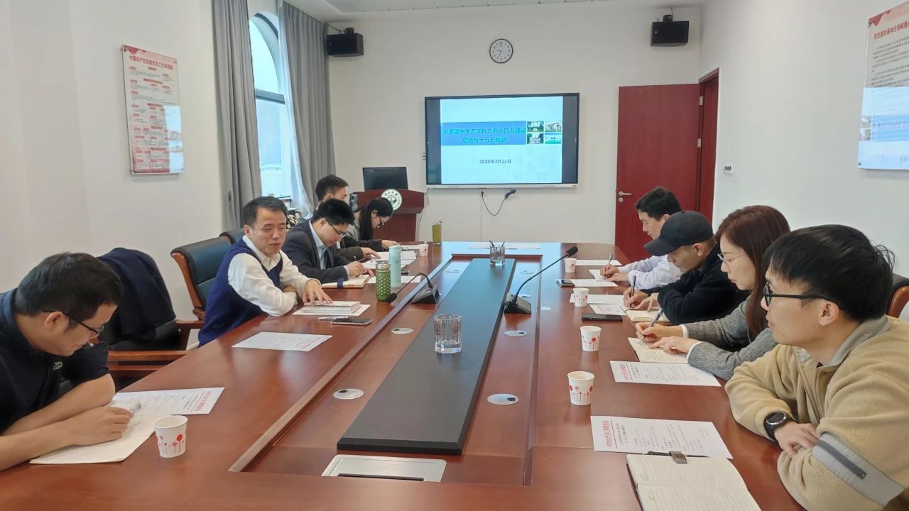 image-20250318100734-11