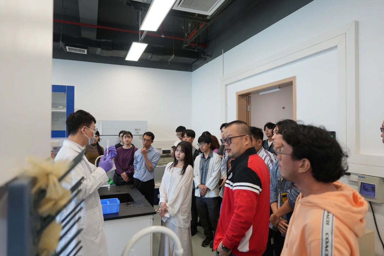 image-20250325104352-9