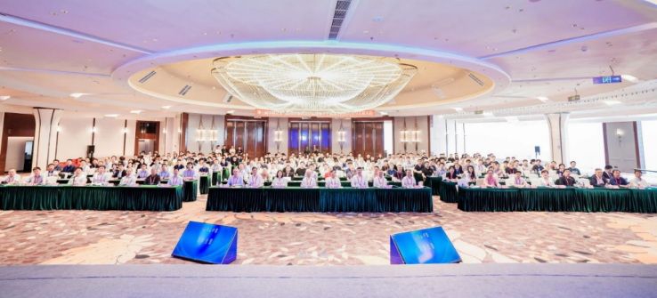 image-20250611104940-3