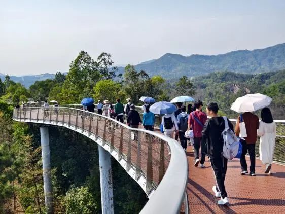 image-20250611114322-9