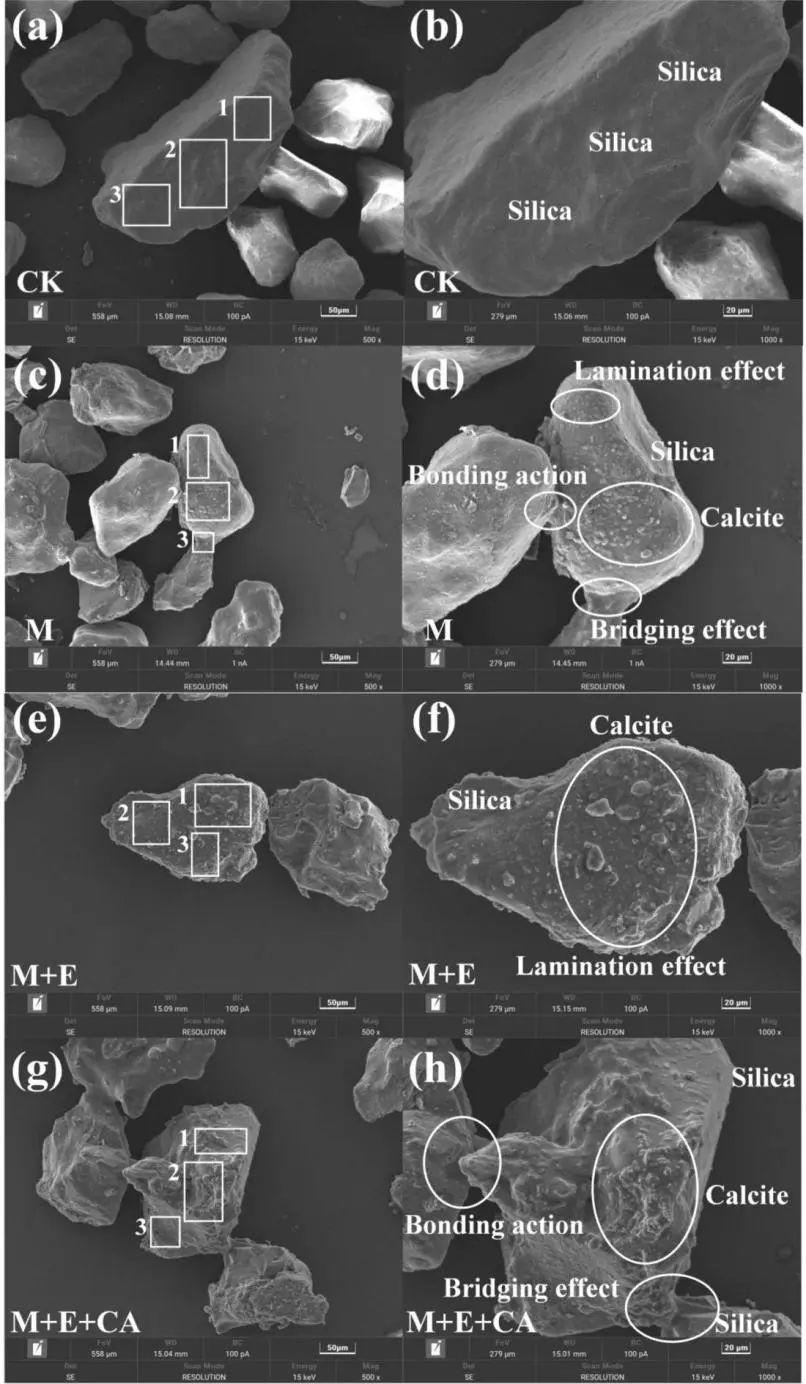 image-20250611121138-2