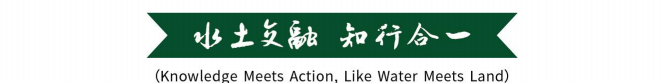 image-20250915135410-7